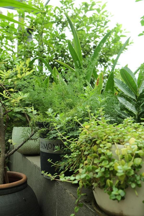 Auntie Lien'S Homestay Hanoi Bagian luar foto